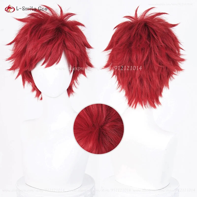 Cosplay Anime Reinhard Van Ast - Anime Cosplay Red Hair ulasan dan harga